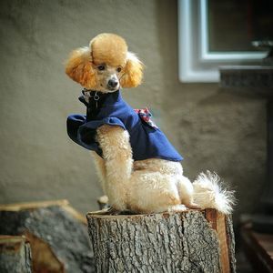 Meet your Posher, Duc